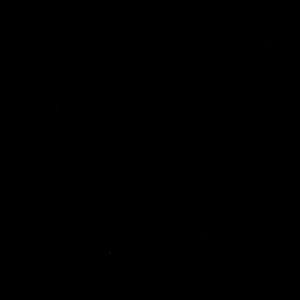 Meet your Posher, Marjories